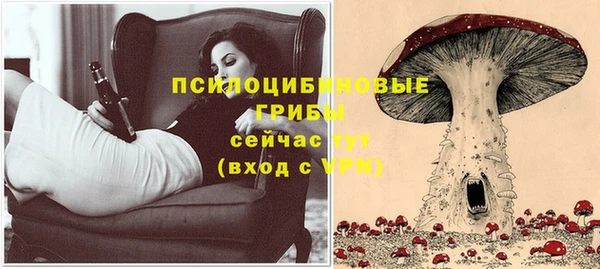 МДМА Вяземский