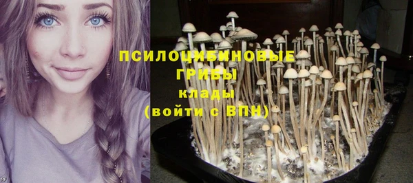 МДПВ Вязники